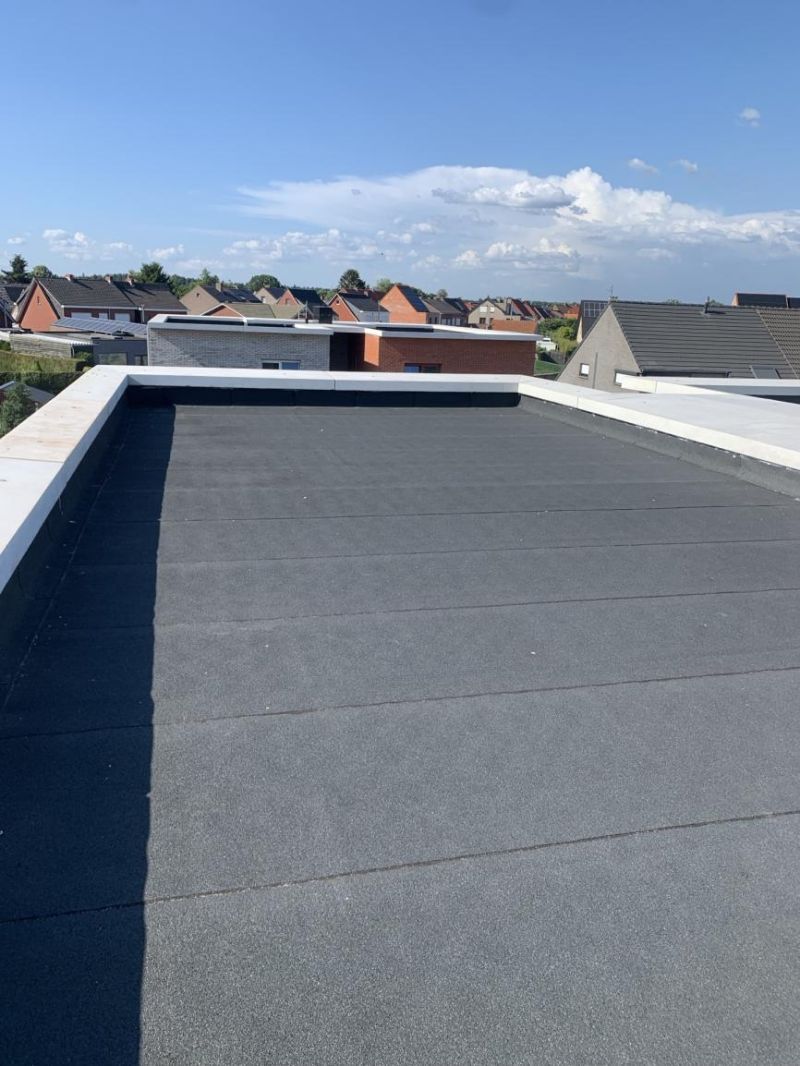 Vosselaar_002